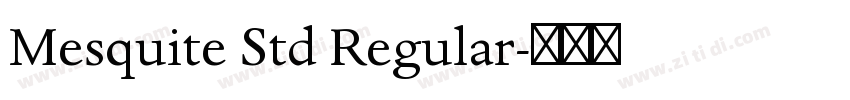 Mesquite Std Regular字体转换